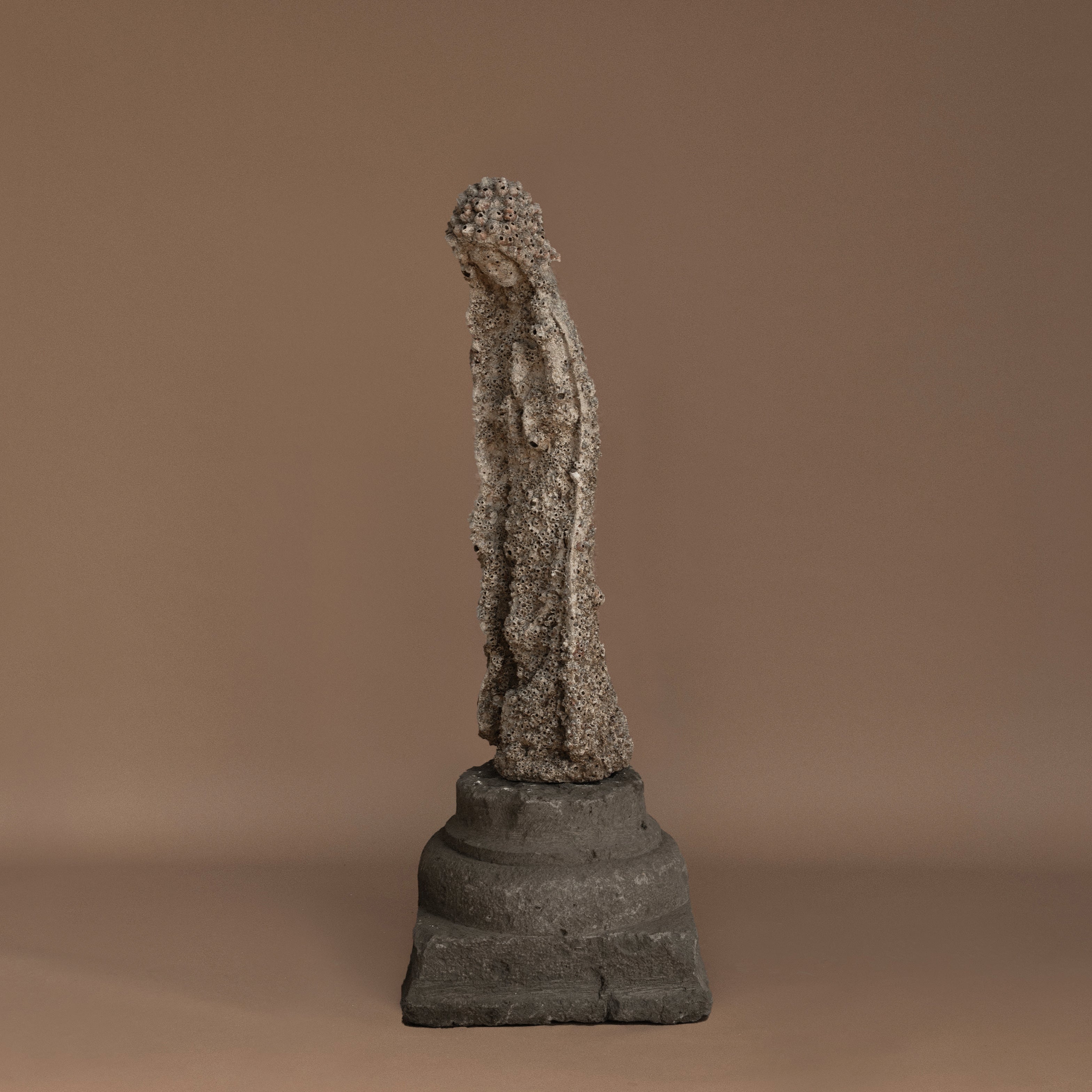 VIRGEN DEL MAR | VIDA
