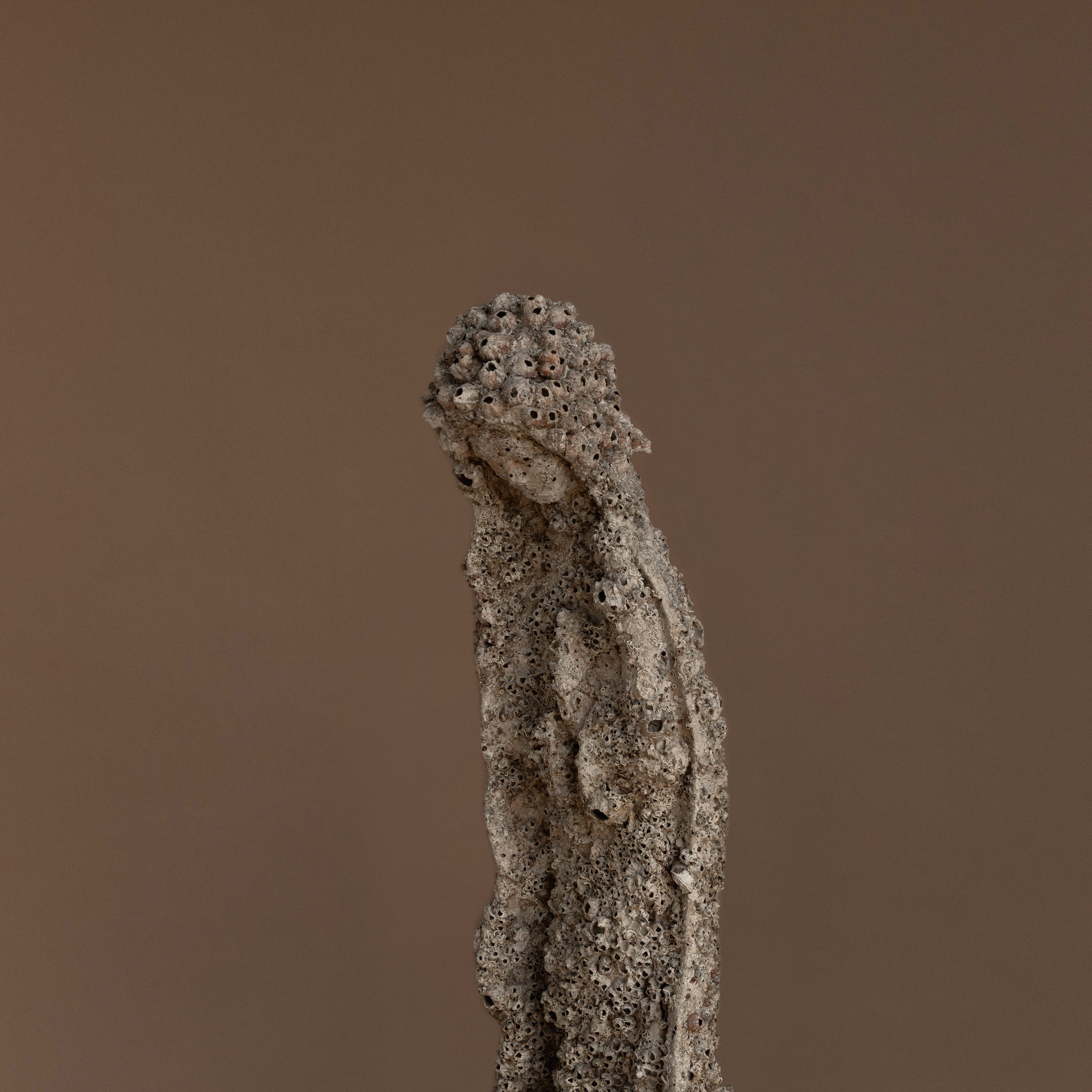VIRGEN DEL MAR | VIDA
