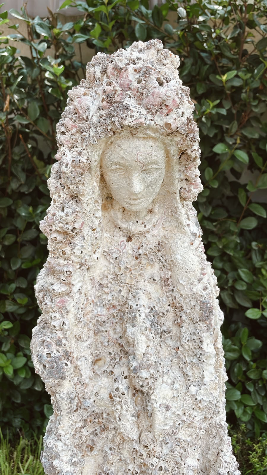 Estrella De MAR 