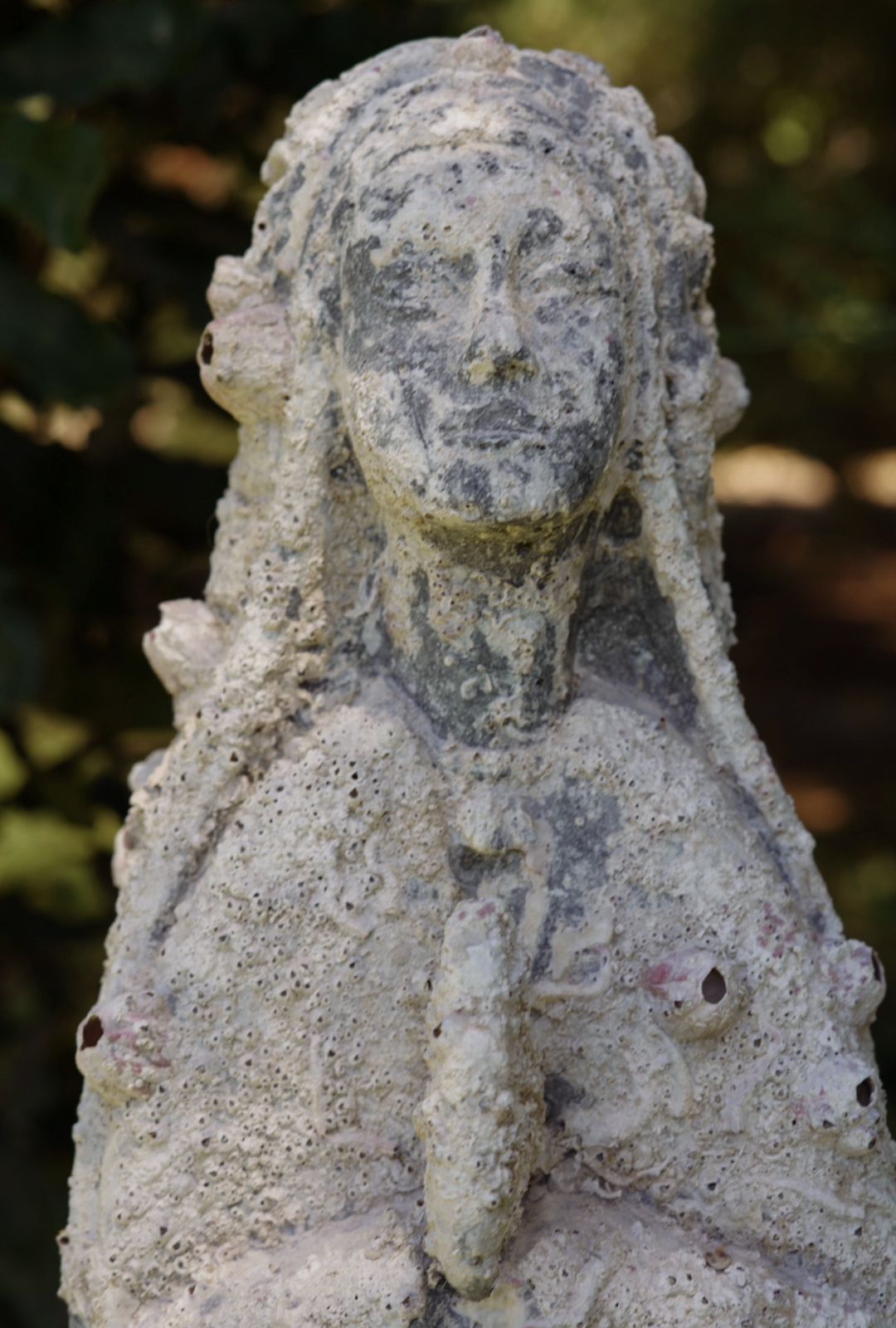 VENDIDA