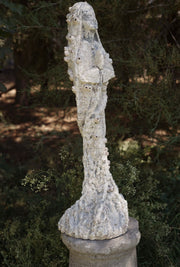 VENDIDA