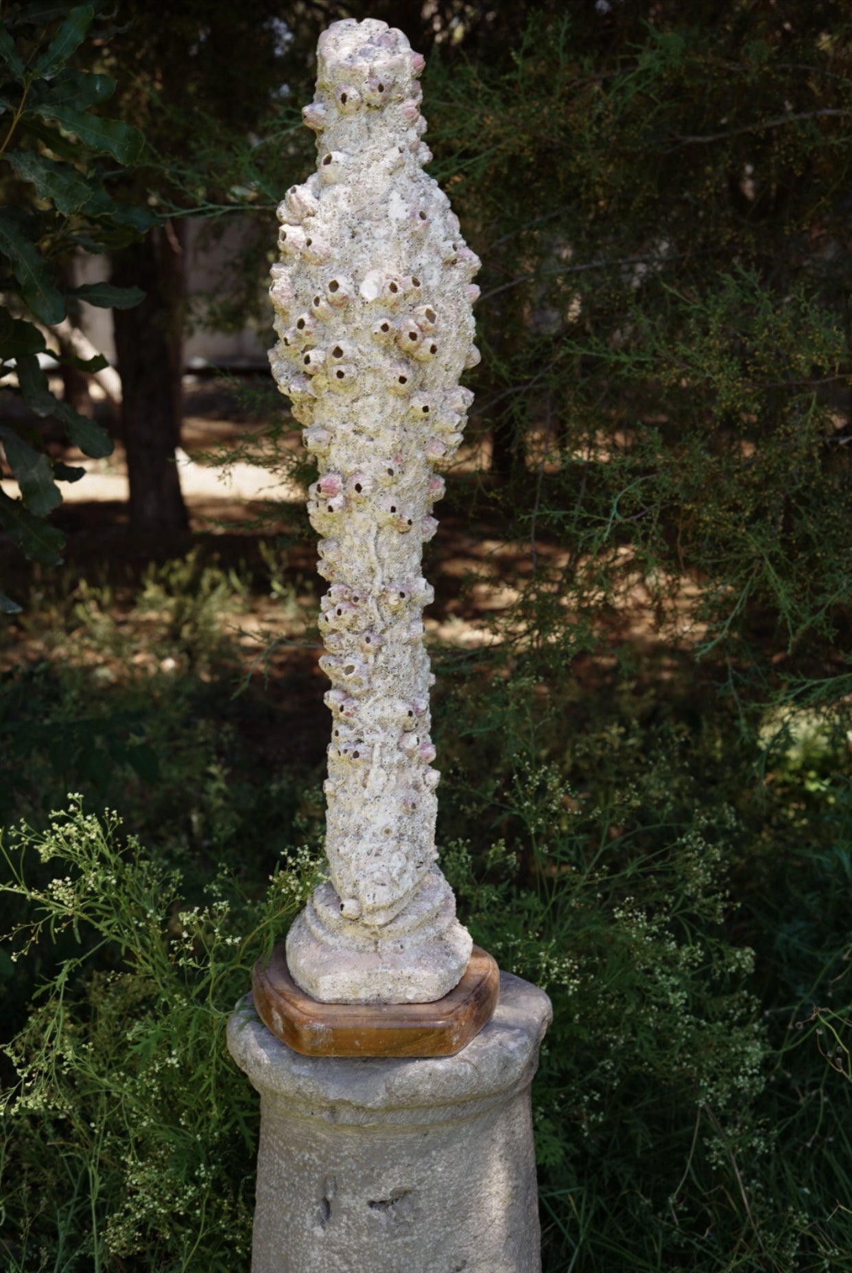 Virgen del MAR Consuelo